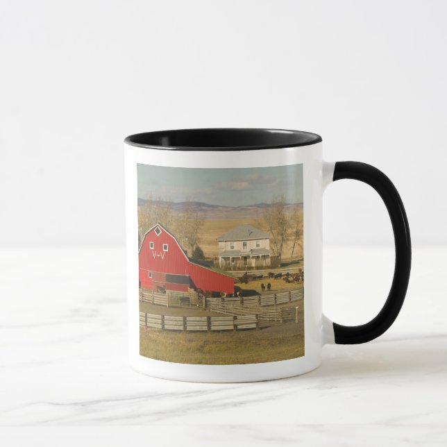 Taza Canadá, Alberta, Pincher Creek: Red Barn & Ranch (Derecha)