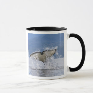 Taza Canadá, Columbia Británica, Isla de Vancouver,