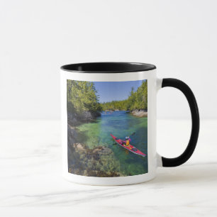 Taza Canadá, Columbia Británica, Isla de Vancouver. Mar