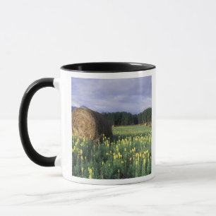 Taza Canadá, Columbia Británica, Kitwanga. Amarillo