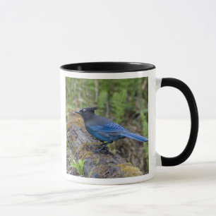 Taza Canadá: Columbia Británica, Parque Nacional Yoho, 