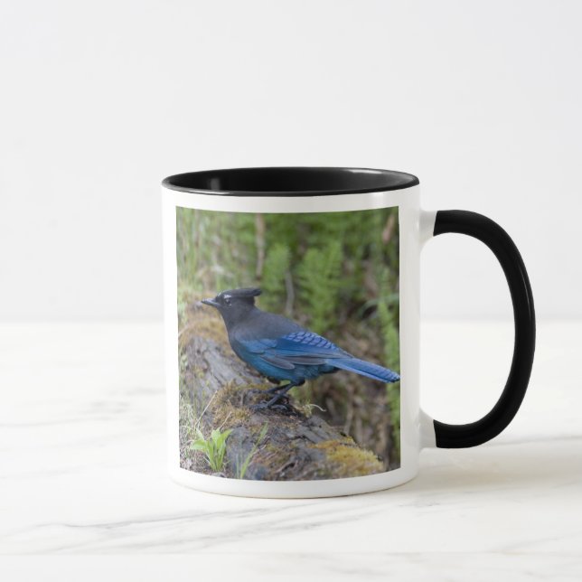 Taza Canadá: Columbia Británica, Parque Nacional Yoho,  (Derecha)