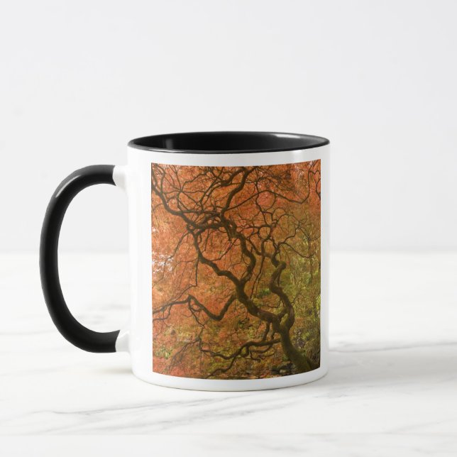 Taza CANADÁ, Columbia Británica, Victoria. Otoño 2 (Izquierda)