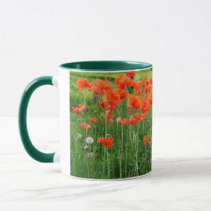 Taza Canadá, Nueva Brunswick, . Paisaje