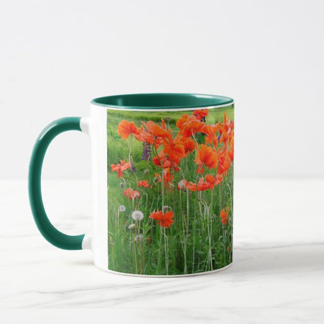 Taza Canadá, Nueva Brunswick, . Paisaje (Izquierda)