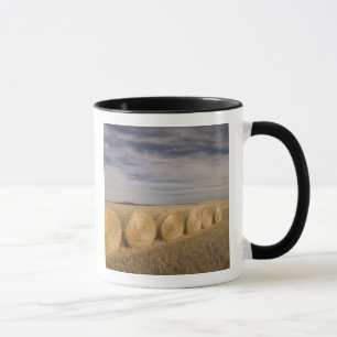 Taza Canadá, Saskatchewan, Craik: Rodillos de heno / Ot