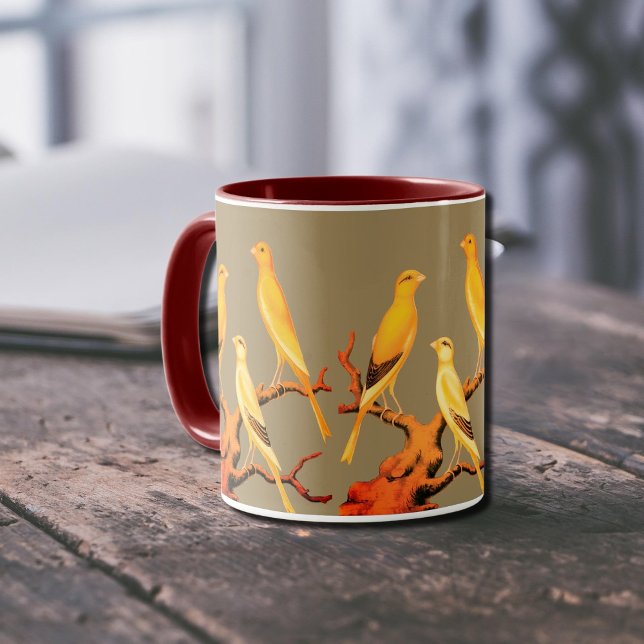 Taza Canarios de Yorkshire   (Subido por el creador)