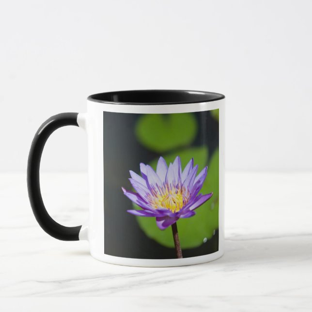 Taza Cancún, México (Izquierda)