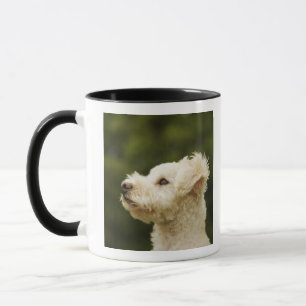 Taza Caniche 2 (blancos)