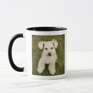 Taza Caniche (blanco)