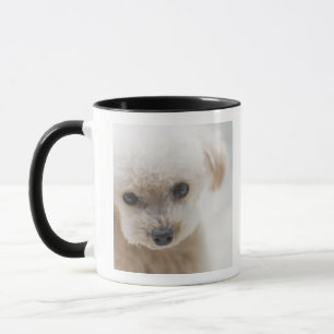 Taza caniche de juguete
