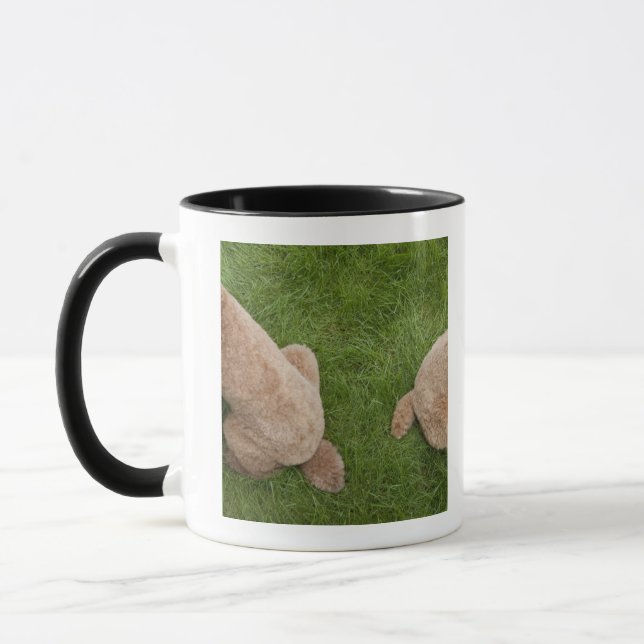 Taza caniche estándar (Izquierda)
