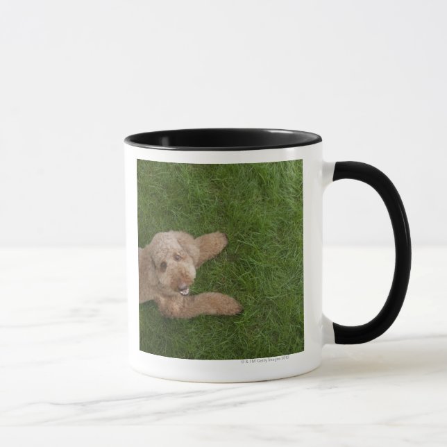 Taza caniche estándar 2 (Derecha)