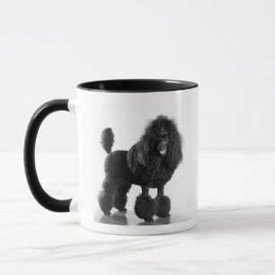 Taza Caniche negro arreglado