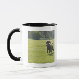 Taza Caniche que juega el disco volador