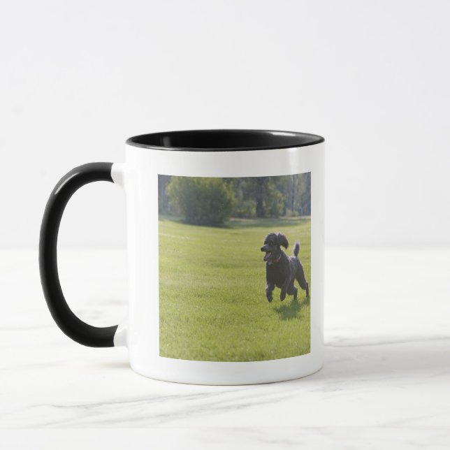 Taza Caniche que juega el disco volador (Izquierda)