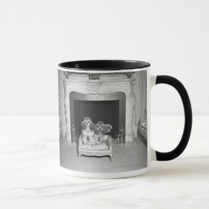 Taza Caniches miniatura que se sientan delante de la