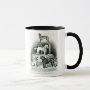Taza Caniches y Whippet - grupo de Sr. Walton