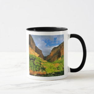 Taza Cañón Kolob en Zion Canyon en Zion National