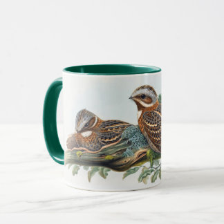 Taza Caprimulgus Ruficollis