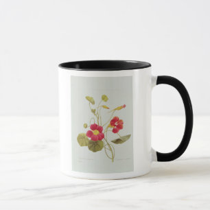Taza Capuchina