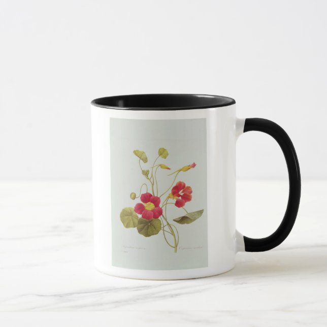 Taza Capuchina (Derecha)