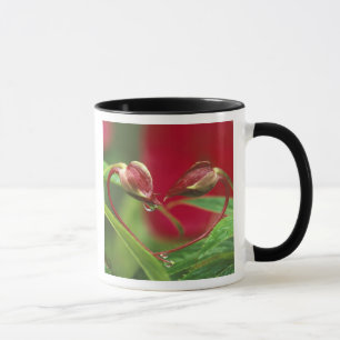 Taza Capullos de Begonia en forma de corazón con gotas 