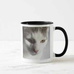 Taza Cara de un gato