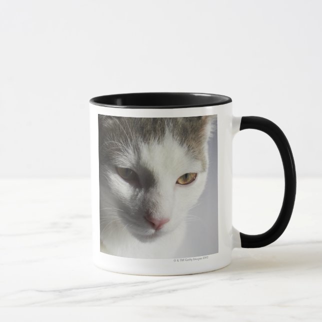 Taza Cara de un gato (Derecha)