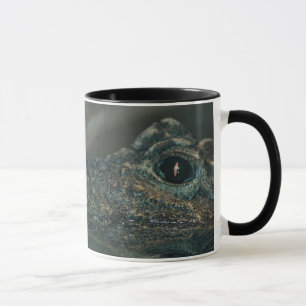 Taza Cara enana del cocodrilo