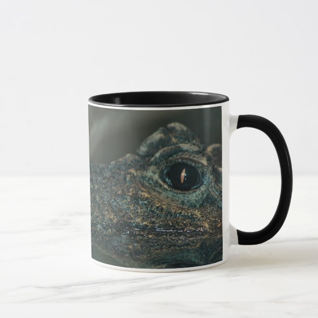 Taza Cara enana del cocodrilo (Derecha)