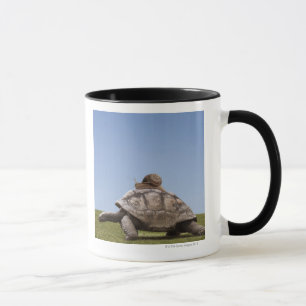 Taza Caracol sobre una tortuga