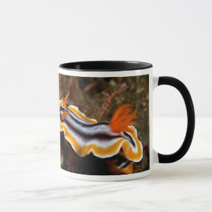 Taza Caracol subacuático