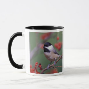 Taza Carbonero de Carolina