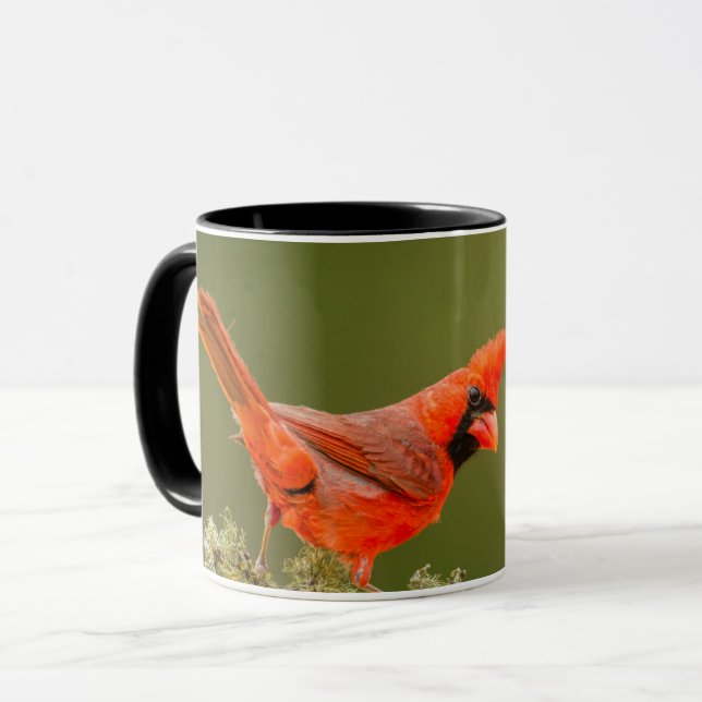 Taza Cardenal macho en rama (Anverso izquierdo)