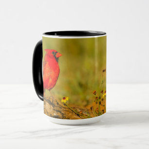 Taza Cardenal macho en tronco