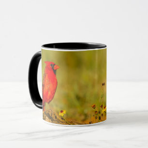 Taza Cardenal macho en tronco