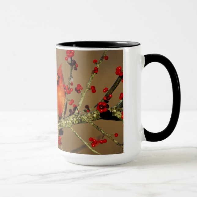 Taza Cardenal norteño macho posado, IL (Derecha)