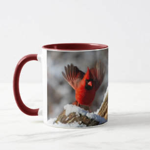 Taza Cardenal rojo en la nieve