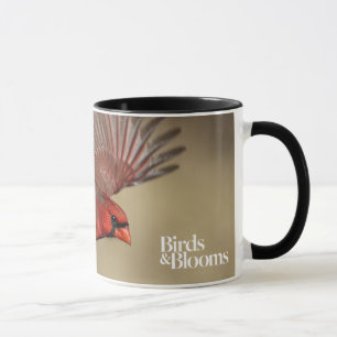 Taza Cardenal septentrional en vuelo