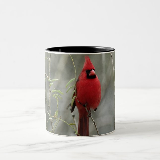 Taza cardinal magnífica de la foto (Centro)