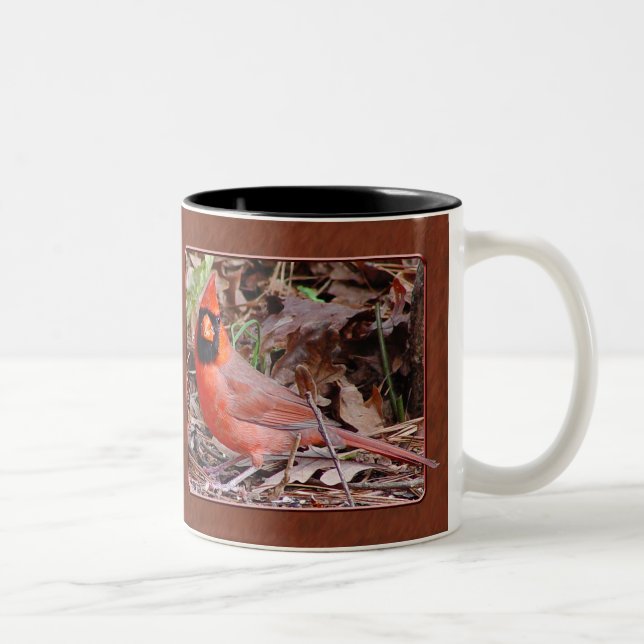 Taza cardinal septentrional (Derecha)