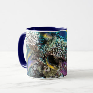 Taza Cardumen de salmonetes alrededor de pequeño coral
