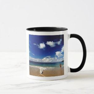 Taza Caribe, Antillas Menores, Indias Occidentales, 2