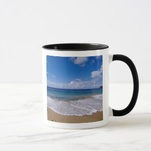 Taza Caribe, Antillas Menores, Indias Occidentales, 4