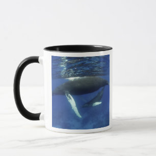 Taza Caribe, archipiélago de las Antillas Mayores,