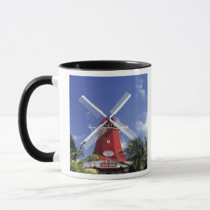 Taza Caribe, Aruba. Molino antiguo, convertido en 'Moli