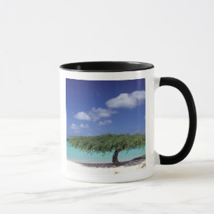 Taza Caribe, Aruba. Playa Eagle