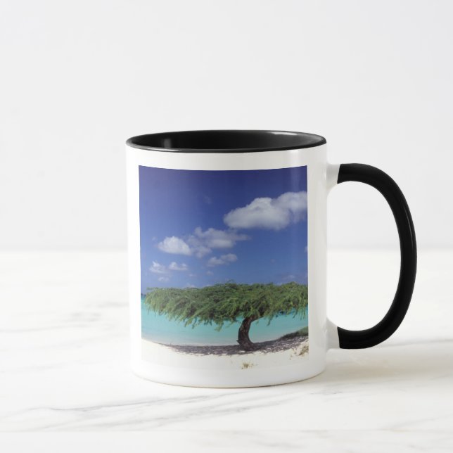 Taza Caribe, Aruba. Playa Eagle (Derecha)