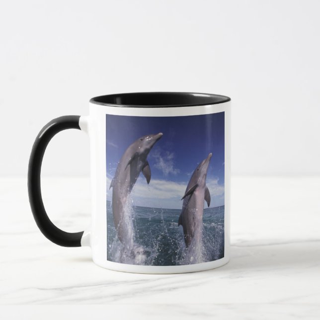 Taza Caribe, delfines botánicos Tursiops (Izquierda)